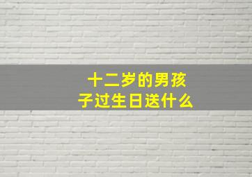 十二岁的男孩子过生日送什么