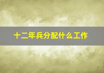 十二年兵分配什么工作