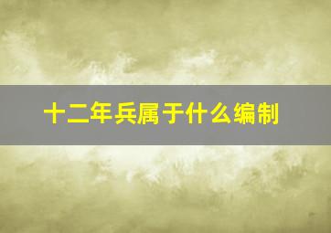 十二年兵属于什么编制