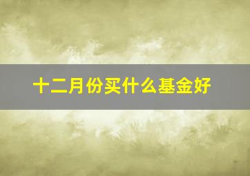 十二月份买什么基金好