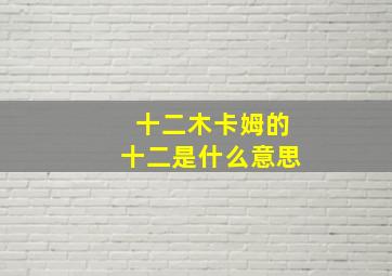 十二木卡姆的十二是什么意思