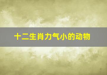 十二生肖力气小的动物