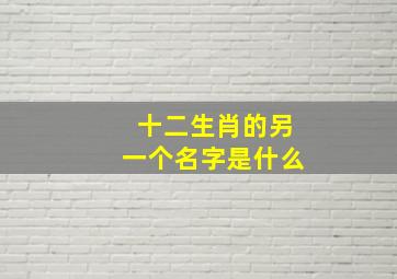 十二生肖的另一个名字是什么