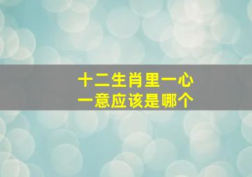 十二生肖里一心一意应该是哪个