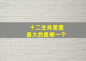 十二生肖里面最大的是哪一个