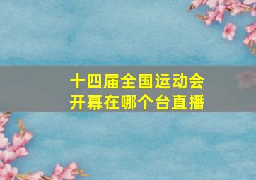 十四届全国运动会开幕在哪个台直播