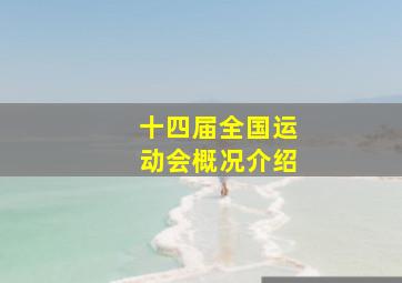 十四届全国运动会概况介绍