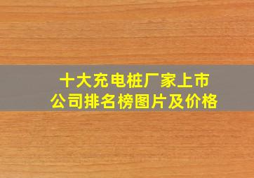 十大充电桩厂家上市公司排名榜图片及价格