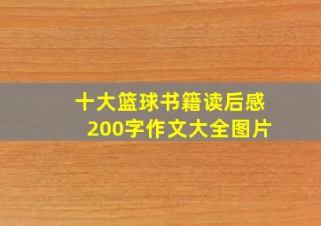 十大篮球书籍读后感200字作文大全图片