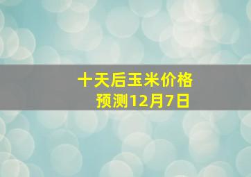 十天后玉米价格预测12月7日