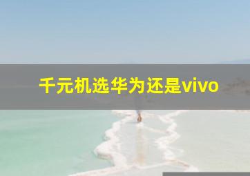 千元机选华为还是vivo