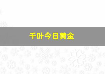 千叶今日黄金