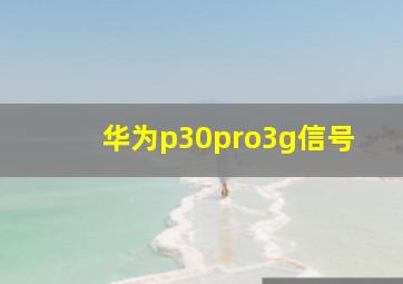 华为p30pro3g信号