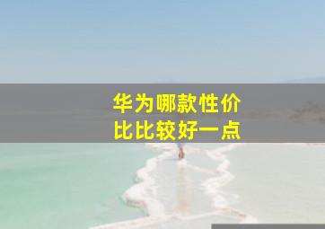 华为哪款性价比比较好一点