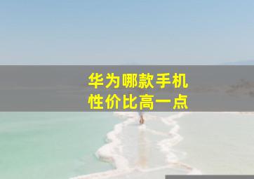 华为哪款手机性价比高一点