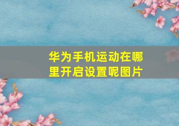 华为手机运动在哪里开启设置呢图片