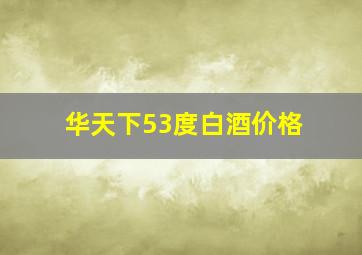 华天下53度白酒价格