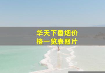 华天下香烟价格一览表图片