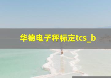 华德电子秤标定tcs_b