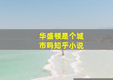 华盛顿是个城市吗知乎小说