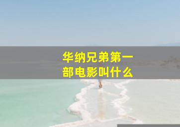 华纳兄弟第一部电影叫什么