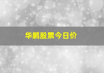 华鹏股票今日价