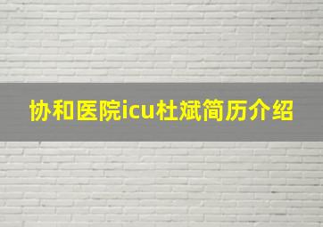 协和医院icu杜斌简历介绍