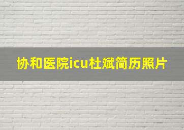 协和医院icu杜斌简历照片