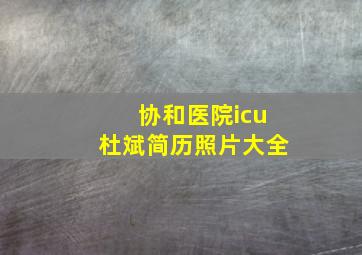 协和医院icu杜斌简历照片大全