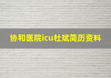 协和医院icu杜斌简历资料