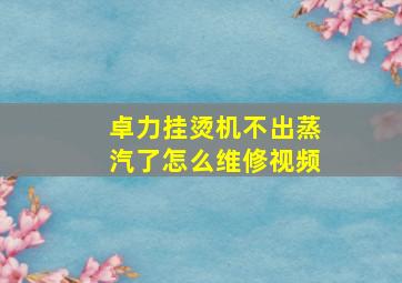 卓力挂烫机不出蒸汽了怎么维修视频