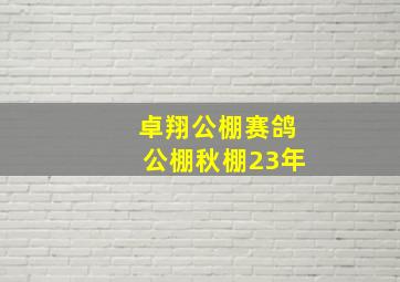 卓翔公棚赛鸽公棚秋棚23年