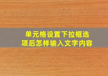 单元格设置下拉框选项后怎样输入文字内容