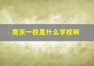 南京一校是什么学校啊