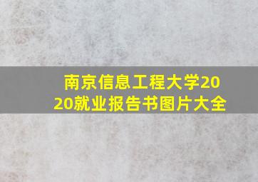 南京信息工程大学2020就业报告书图片大全