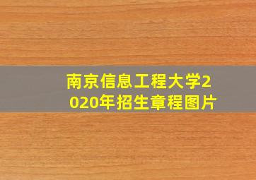 南京信息工程大学2020年招生章程图片