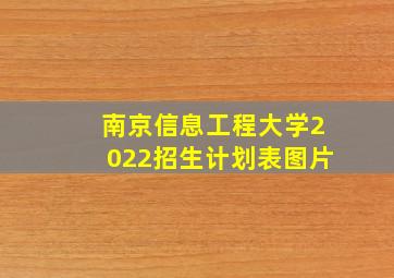 南京信息工程大学2022招生计划表图片