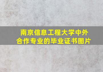 南京信息工程大学中外合作专业的毕业证书图片