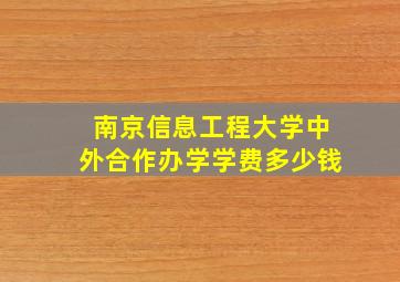 南京信息工程大学中外合作办学学费多少钱