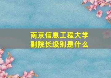 南京信息工程大学副院长级别是什么