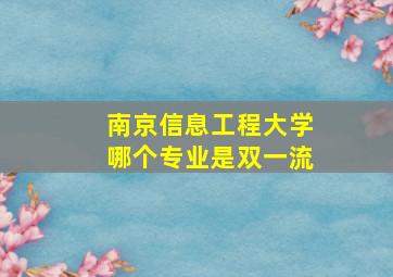 南京信息工程大学哪个专业是双一流