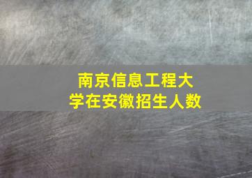 南京信息工程大学在安徽招生人数