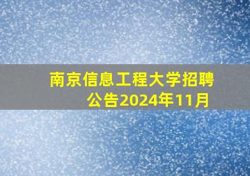 南京信息工程大学招聘公告2024年11月