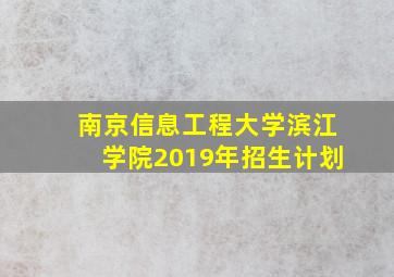 南京信息工程大学滨江学院2019年招生计划