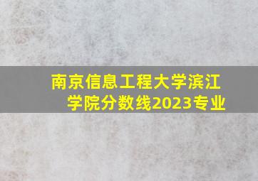 南京信息工程大学滨江学院分数线2023专业