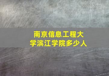 南京信息工程大学滨江学院多少人