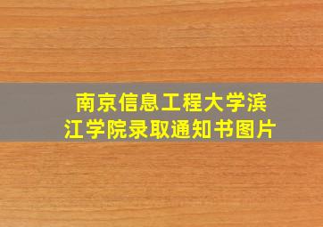 南京信息工程大学滨江学院录取通知书图片