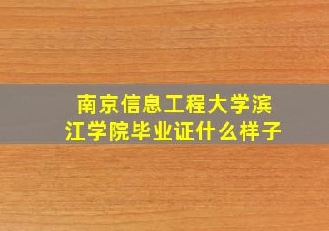 南京信息工程大学滨江学院毕业证什么样子