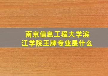 南京信息工程大学滨江学院王牌专业是什么