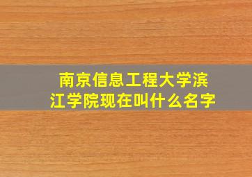 南京信息工程大学滨江学院现在叫什么名字